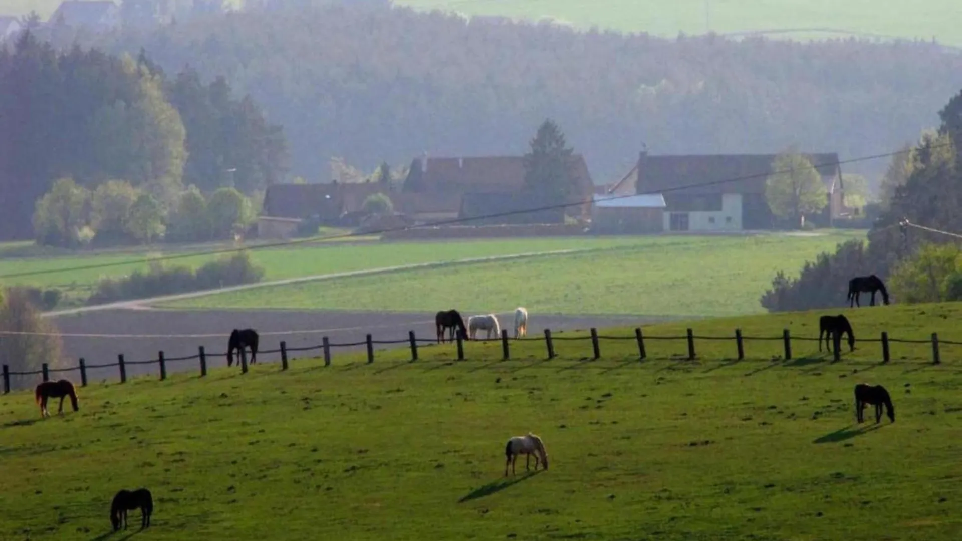 Holiday home Feriendorf Seeblick - Tinyhouse Direkt Am See Neunburg vorm Wald