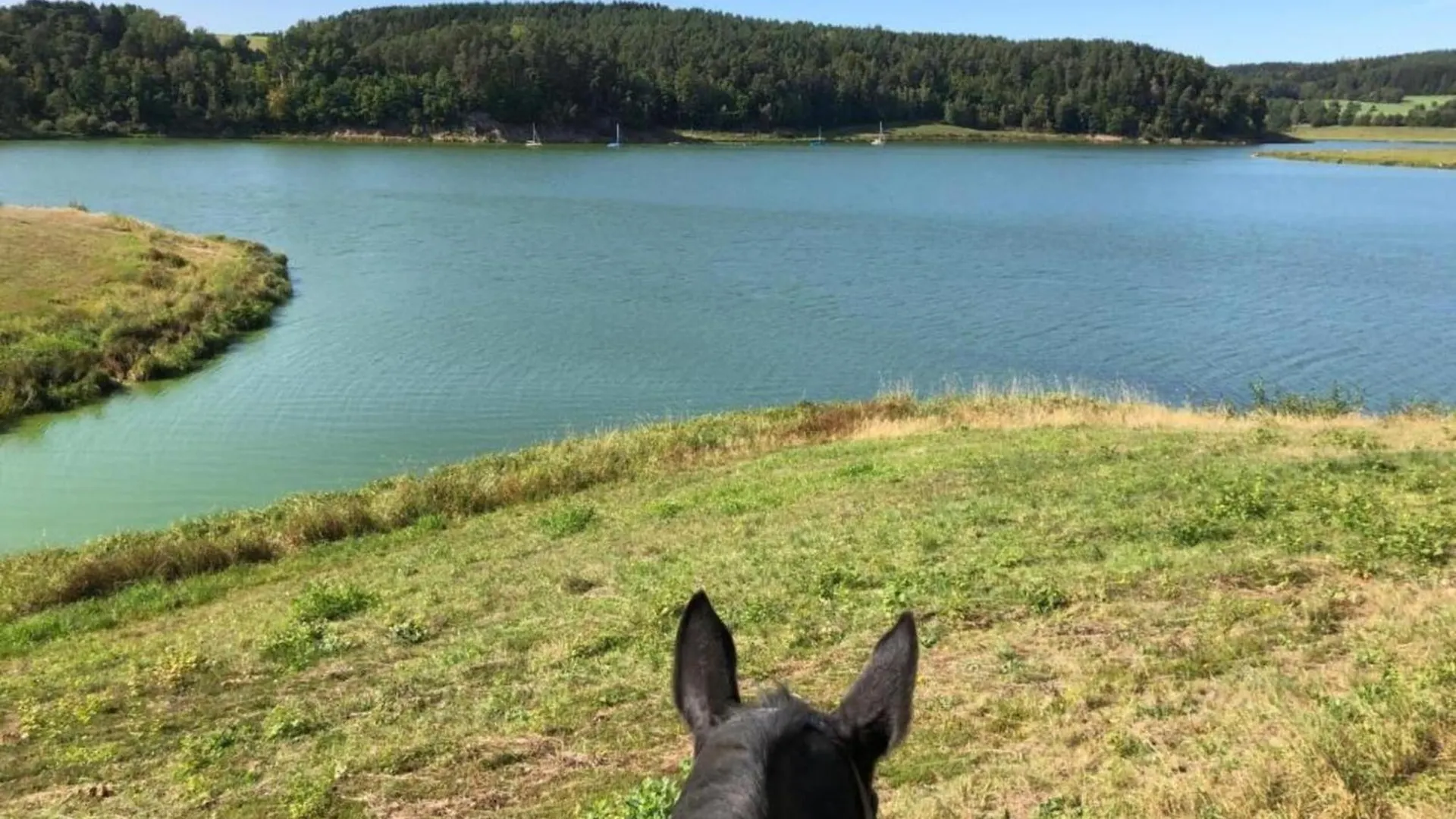 Holiday home Feriendorf Seeblick - Tinyhouse Direkt Am See Neunburg vorm Wald